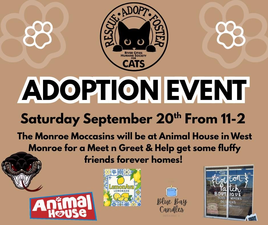 Meet the players of the Monroe Moccasins alongside adorable cats and kittens available for adoption!