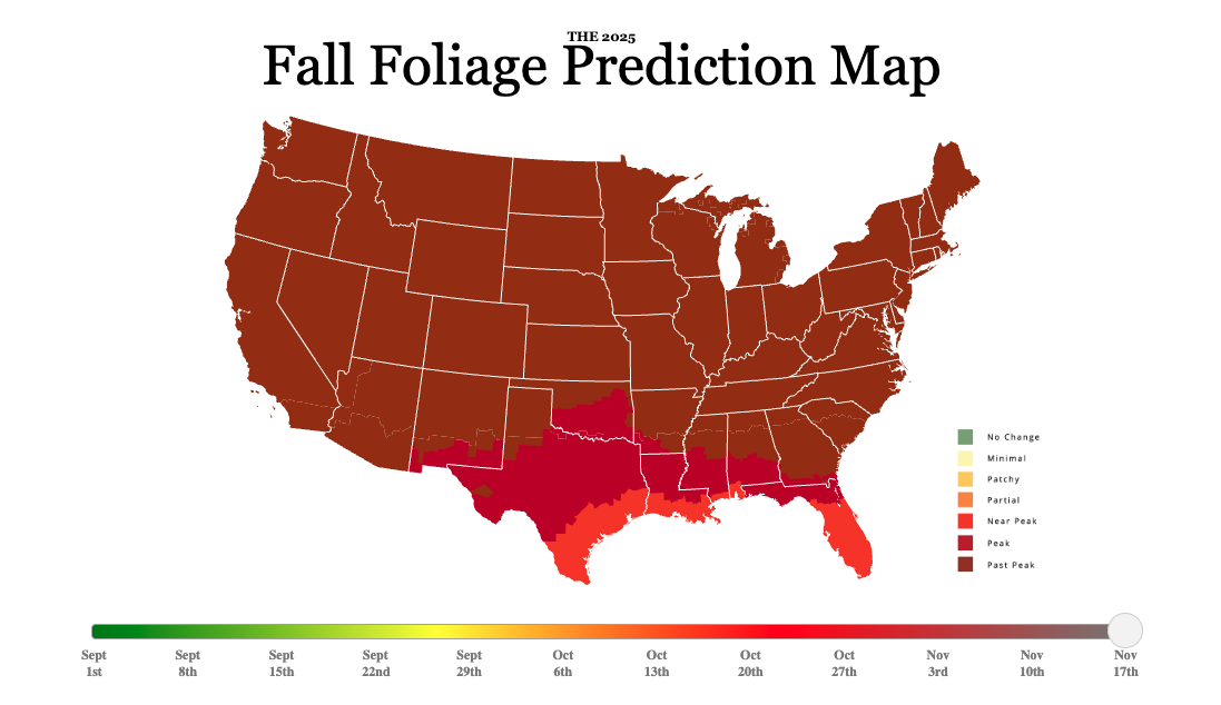 Late-November foliage view along the Ouachita — perfect for paddling and scenic observation.
