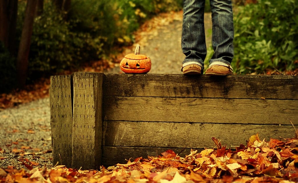 Simple, stylish no-carve pumpkins ideal for family-friendly decorating.