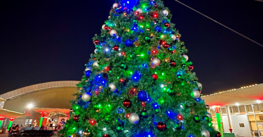Monroe City Christmas Tree Lighting — a festive kickoff to the holiday market season.