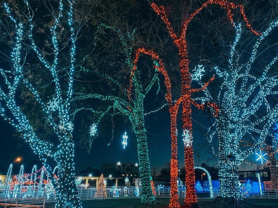 Land of Lights — a popular festive light display drawing families across Northeast Louisiana.